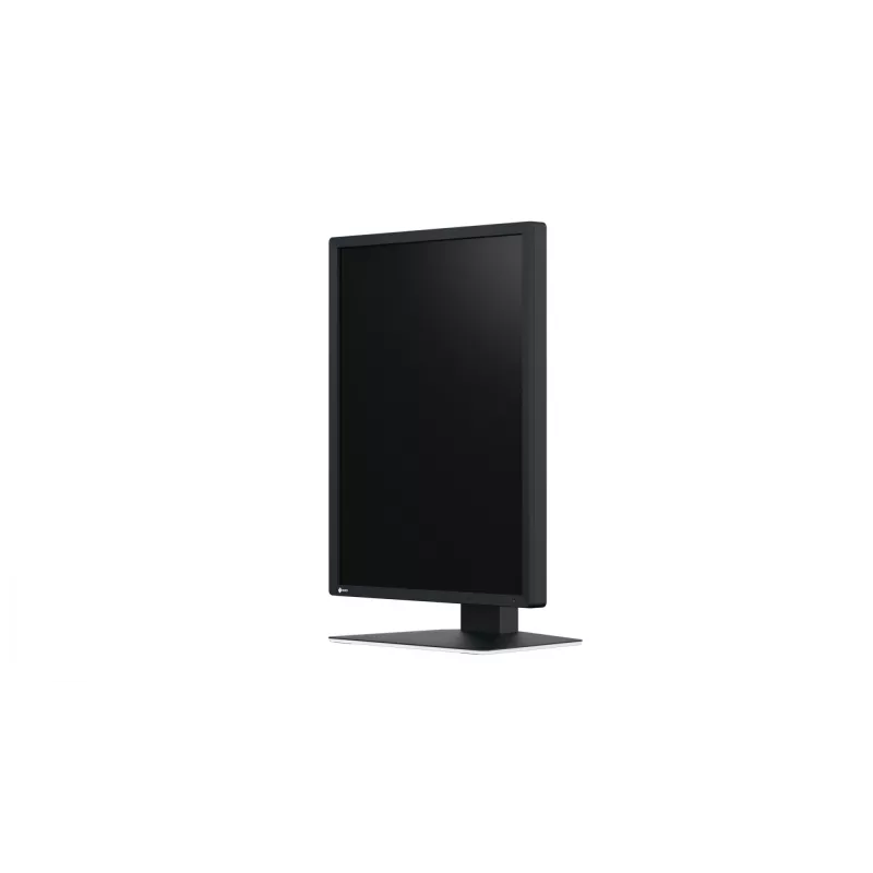 EIZO RadiForce MX217-SB kompiuterio monitorius 53,3 cm (21 col.) 1200 x 1600 pikselių UXGA LCD juodas