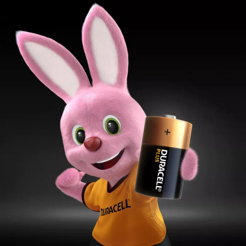 Duracell Plus vienkartinė baterija D šarminė