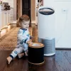 „Leitz“ kvapų ir LOJ 3-in-1 HEPA filtro būgnas, skirtas „TruSens Z-3000“ / „Z-3500“ dideliam oro valytuvui