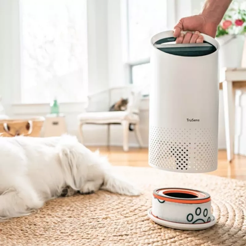 „Leitz“ pakaitinis anglies filtras, skirtas „TruSens Z-1000 Small Pet“ filtrui, 1 vnt.
