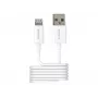 2-Power 2PUC1M02W mobiliojo įrenginio įkroviklis Baltas