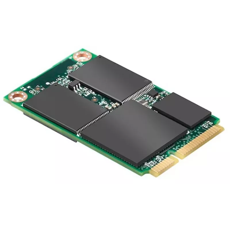 DELL 400-ACLI vidinis kietojo kūno diskas 256 GB mSATA Serial ATA