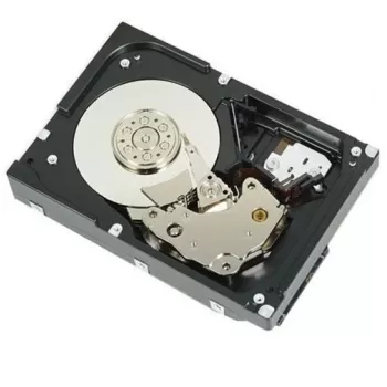 DELL 161-BBFN vidinis kietasis diskas 12 TB 7200 RPM 3.5 colio SAS