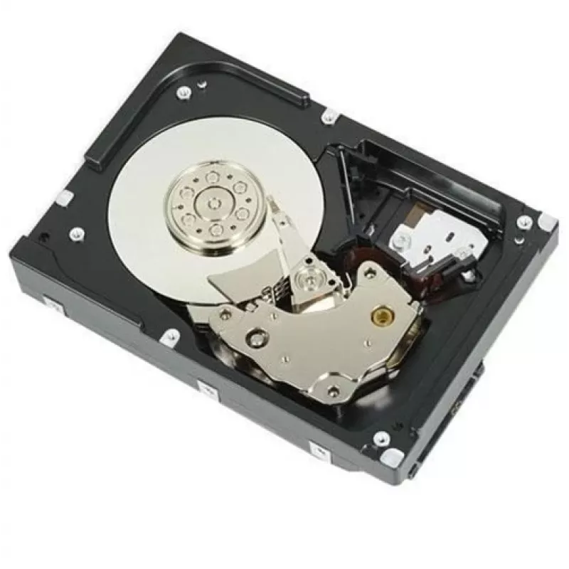 DELL 161-BBFN vidinis kietasis diskas 12 TB 7200 RPM 3.5 colio SAS