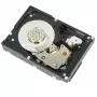 DELL 161-BBFN vidinis kietasis diskas 12 TB 7200 RPM 3.5 colio SAS