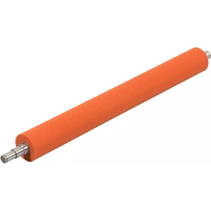 Ricoh AE010059 spausdintuvo/skenerio atsarginė dalis/priedas Volelis 1 vnt.