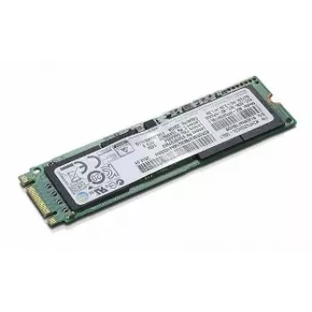 Lenovo 04X4450 vidinis kietojo kūno diskas 256 GB M.2 Serial ATA III