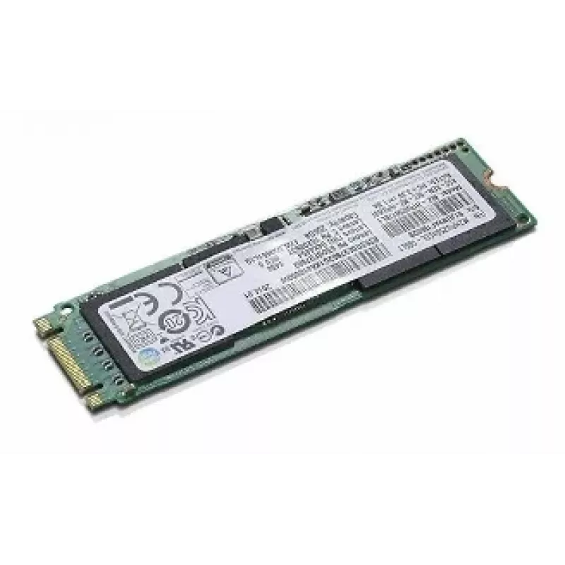 Lenovo 04X4450 vidinis kietojo kūno diskas 256 GB M.2 Serial ATA III