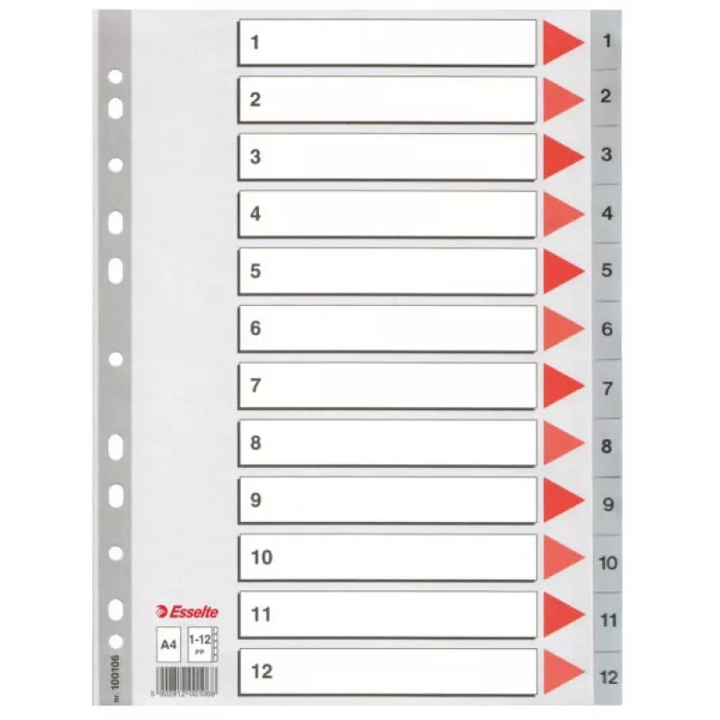 Esselte Index 1-12 PP A4 Pilka