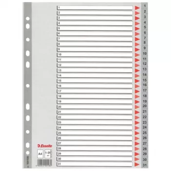 Esselte Index 1-31 PP A4 Pilka, skaitmeninis skirtukų rodyklė, polipropilenas (PP), A4, 225 mm, 297 mm, 1 vnt.