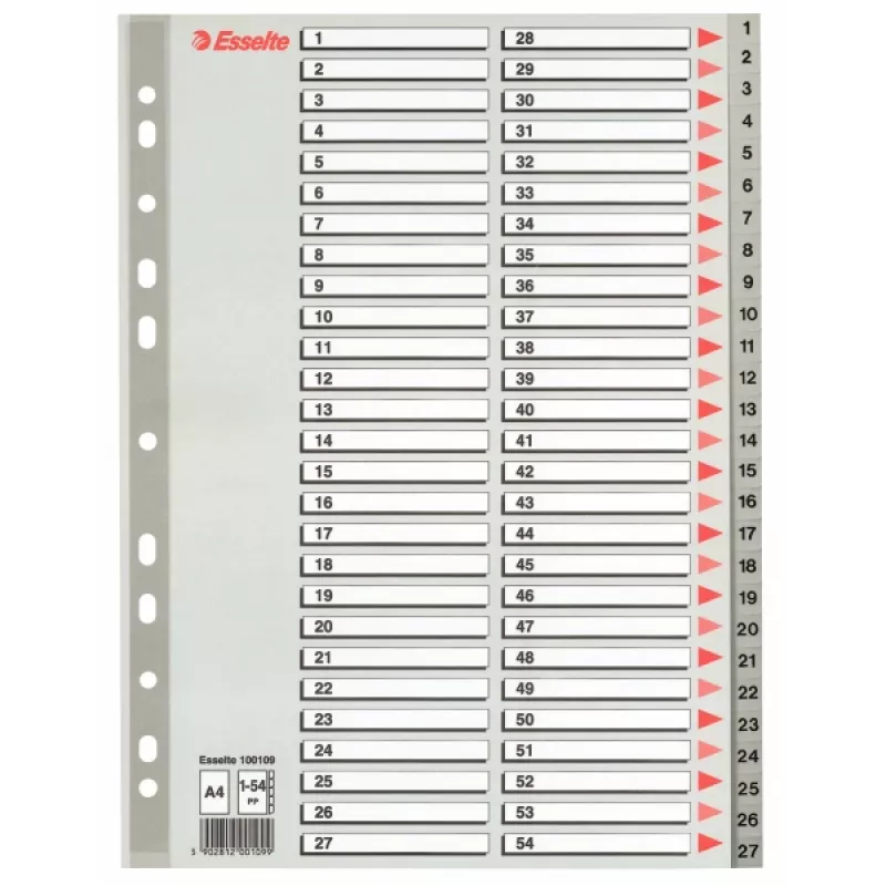 Skiriamieji skirtukai ESSELTE 100109 — plotis 225 mm, aukštis 7 mm