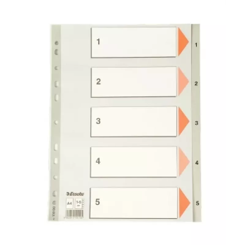 Esselte Index 1-5 PP A4 pilka