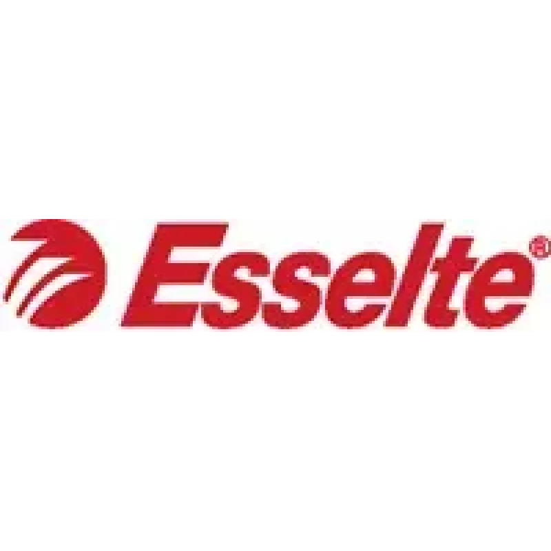 Aplankas Esselte Esselte 49923