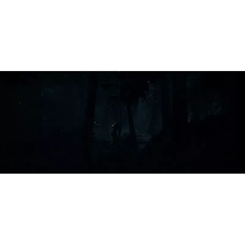 Sony Until Dawn Standartinė Daugiakalbė PlayStation 5