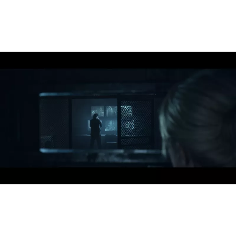 Sony Until Dawn Standartinė Daugiakalbė PlayStation 5