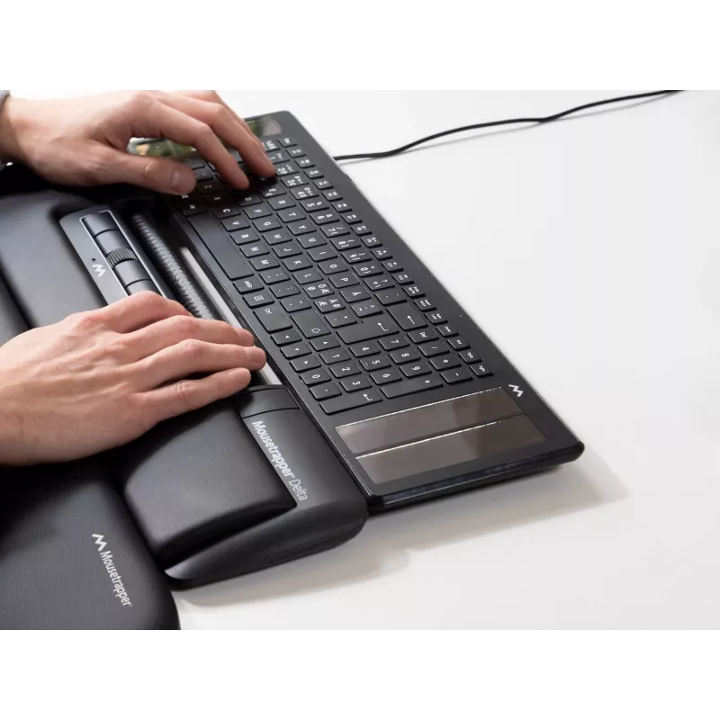 pelėtrapper Delta pelė Juoda Regular USB-A, USB Type-A, 4000 DPI, Juoda
