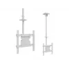 Multibrackets M Public Ceilingmount Medium Single White 3000 Maks. svoris 30 kg Min. ekranas 32 coliai Maks. ekranas 55 coliai