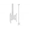 Lubinis laikiklis Multibrackets M Public Small Single White 1500 14 kg 10-32 col.