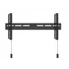 Multibrackets M OLED itin plonas fiksuotas televizoriaus sieninis laikiklis 50 kg 32–65 col.