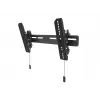 TV laikiklis Multibrackets M OLED Super plonas Tilt 50 kg 32-65 coliai