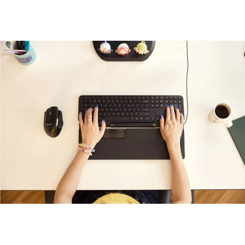 pelė Contour Design Rollerpelė Pro Regular USB Type-A