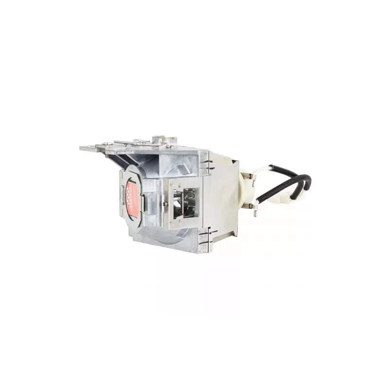 Viewsonic RLC-100 projektoriaus lempa 210 W