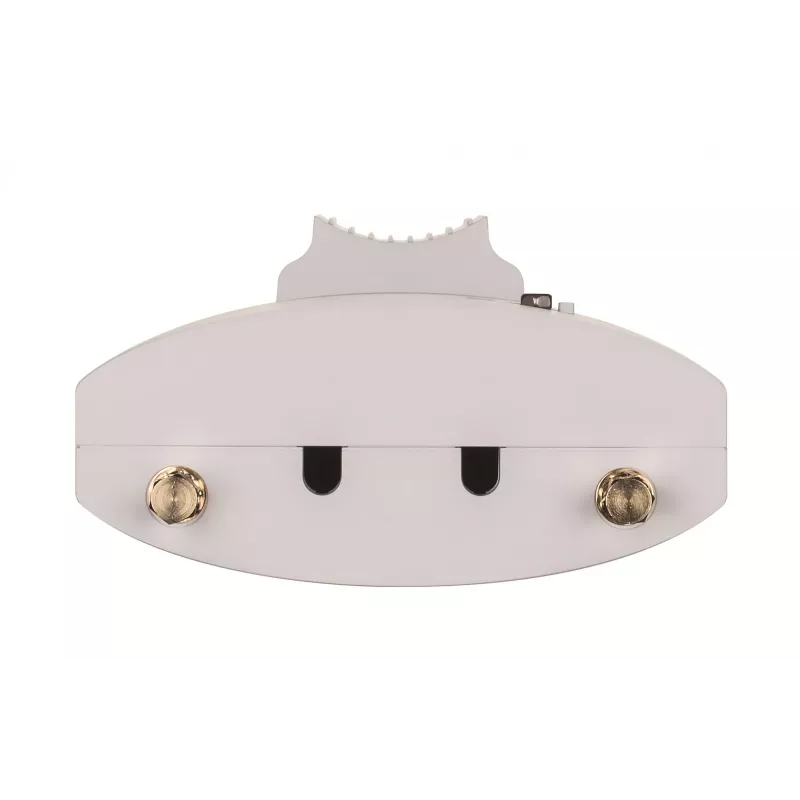 D-Link Wireless AC1300 Wave 2 Outdoor Cloud Managed Access Point