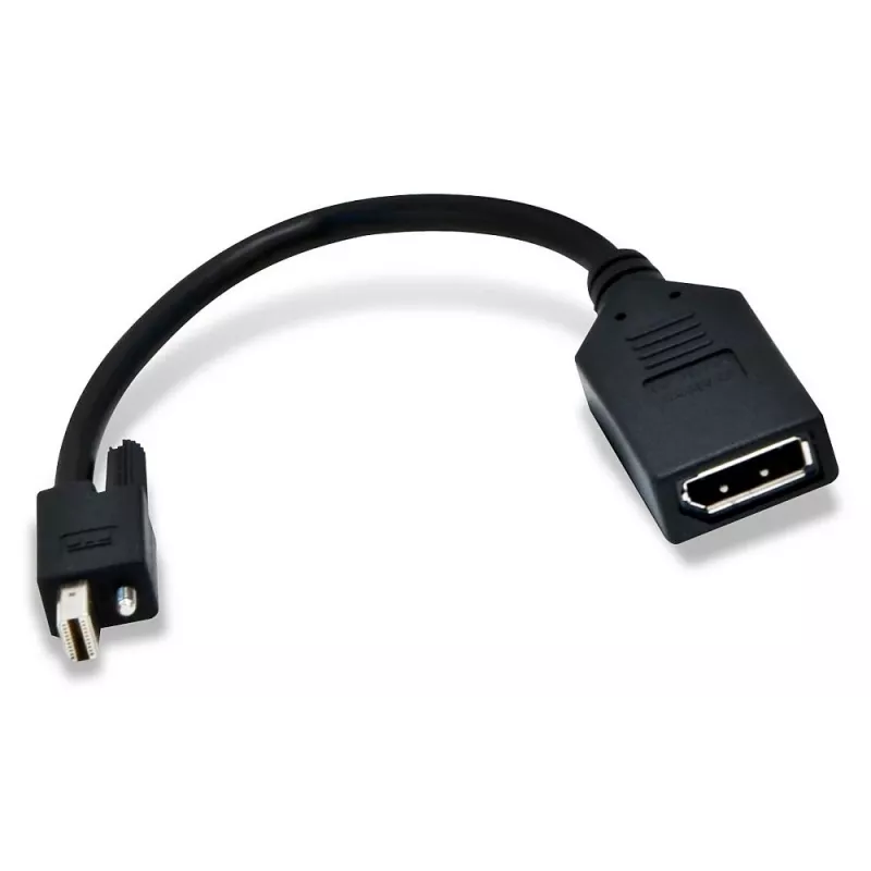 Matrox Mini DisplayPort į DisplayPort adapteris / CAB-MDP-DPF