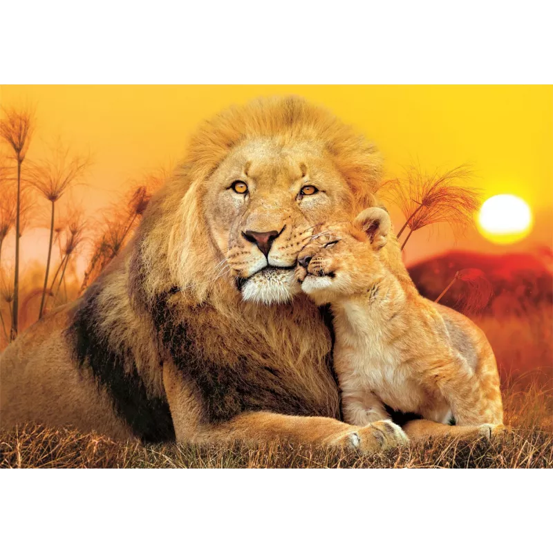 Clementoni 29785 dėlionė