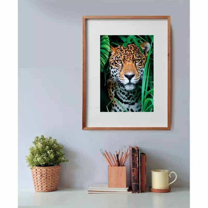 “Clementoni High Quality Collection” Jaguaras džiunglėse dėlionė 500 vnt. Gyvūnai
