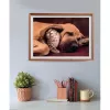 Clementoni High Quality Collection 35583 dėlionė Jigsaw puzzle 500 vnt. Gyvūnai
