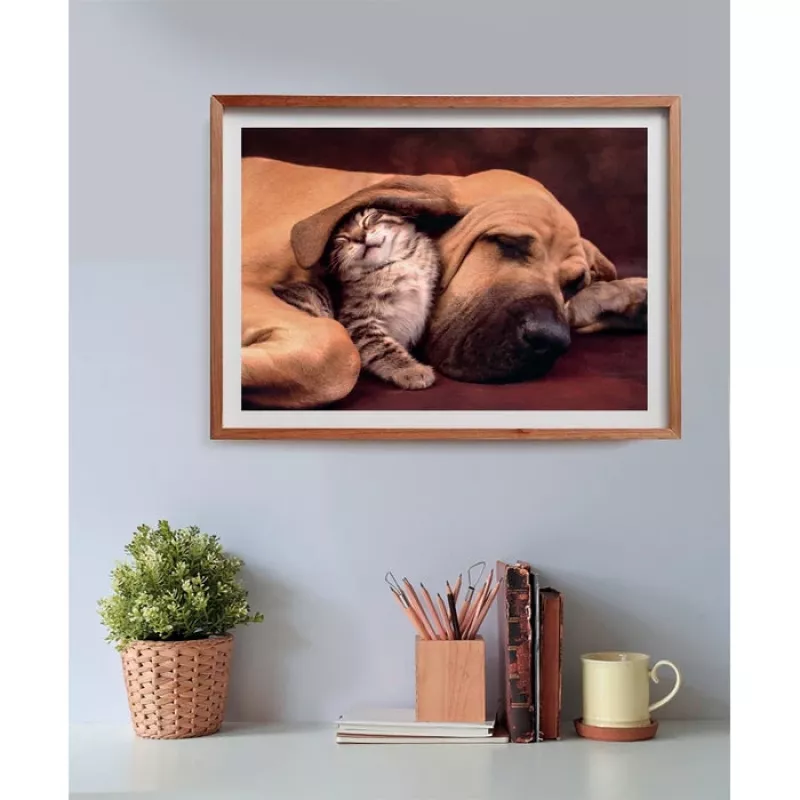 Clementoni High Quality Collection 35583 dėlionė Jigsaw puzzle 500 vnt. Gyvūnai