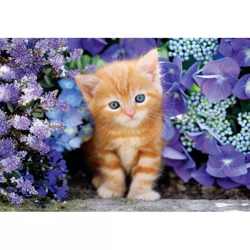Clementoni High Quality Collection 35585 dėlionė Jigsaw puzzle 500 vnt. Gyvūnai