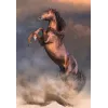 Clementoni 500 pcs CB HQC Wild Red Stallion