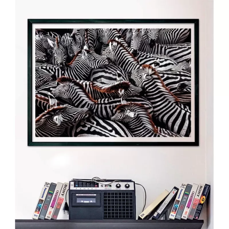 Clementoni Zebra dėlionė 1000 vnt. Gyvūnai