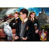 Dėlionė Clementoni Wizarding world Harry Potter, 1000 vnt., Televizija / filmai