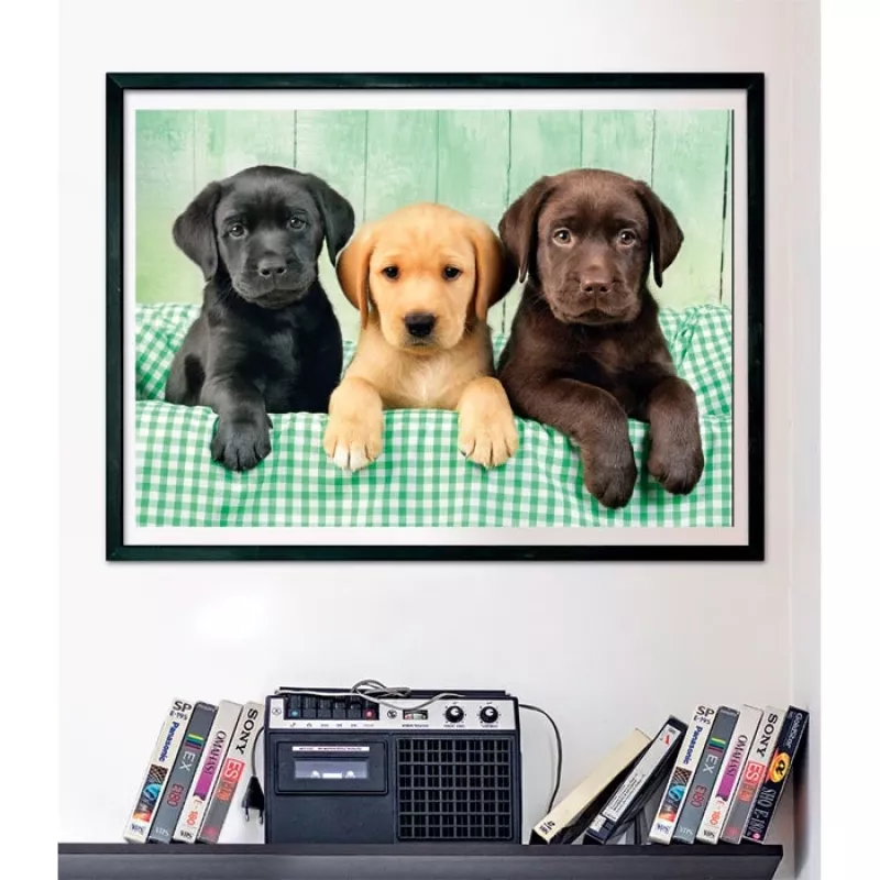 Clementoni High Quality Collection 39946 dėlionė Jigsaw puzzle 1000 vnt. Gyvūnai