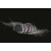 Hoover Ultra Vortex MBC500UV 011 rankinis dulkių siurblys Raudonas Be maišelio