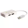 Techly IADAP DP-COMBOF3 vaizdo kabelio adapteris DisplayPort DisplayPort + DVI + HDMI baltas