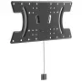 Techly plonas sieninis laikiklis OLED televizoriui 32-65 col. juodas, 81,3 cm (32 col.), 165,1 cm (65 col.), 30 kg, 100 x 100 mm, 400 x 200 mm, juoda
