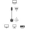 Techly ICOC DSP-C12-010P vaizdo kabelio adapteris 1 m DisplayPort DVI-D Juoda