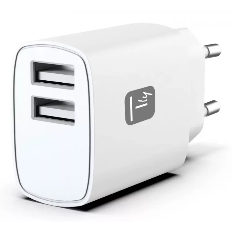 Techly IPW-USB-12W2A mobiliojo įrenginio įkroviklis Ausinės, Nešiojamasis garsiakalbis, Išorinė baterija, Išmanusis telefonas, Planšetinis kompiuteris Balta Kintamoji srovė Vidaus