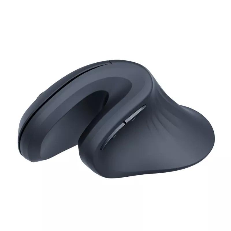 Techly IM 1100-VM-B pelė Medicininė Dešiniarankė RF belaidė Optinė 3200 DPI