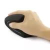 Techly IM 1200-VM-B pelė, medicininė, dešiniarankė, RF belaidė, optinė, 1600 DPI