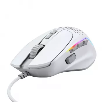 Glorious Gaming Glorious Model IV2 Wired – baltas, dešiniarankiams, optinė, USB Type-A, 26000 DPI, baltas