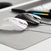 Glorious Gaming Glorious Model IV2 Wired – baltas, dešiniarankiams, optinė, USB Type-A, 26000 DPI, baltas