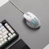 Glorious Gaming Glorious Model IV2 Wired – baltas, dešiniarankiams, optinė, USB Type-A, 26000 DPI, baltas