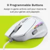 Glorious Gaming Glorious Model IV2 Wired – baltas, dešiniarankiams, optinė, USB Type-A, 26000 DPI, baltas