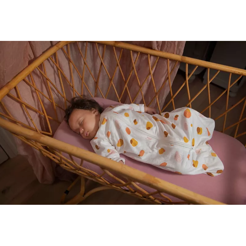 Kamera Philips AVENT Connected SCD921/26 1080p 400 m Wi-Fi
