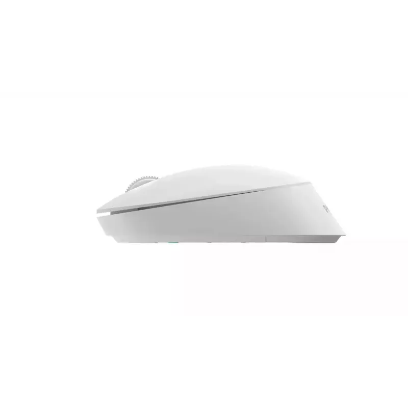 Pelė Philips SPK7307W/00 Office abiem rankoms tinkama RF belaidė optinė 1600 DPI balta